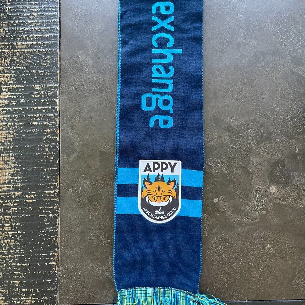 Salesforce "App Exchange" Scarf - Picture 5 of 5